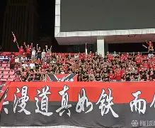 大发娱乐官方网站-国内足球协会评选优秀教练榜单发布